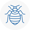 Bed Bug Extermination In Winchmore Hill