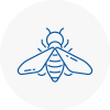 Bee Nest Removal Winchmore Hill