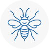 Winchmore Hill Hornet Nest Removals