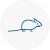 Mice Exterminators In Winchmore Hill