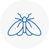 Moth Control Specialists In Winchmore Hill