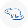 Rat Control Winchmore Hill