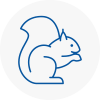 Winchmore Hill Rodent Removals